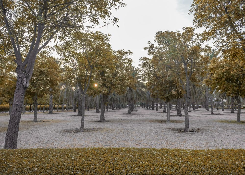 Photograph by ahmed Hassan