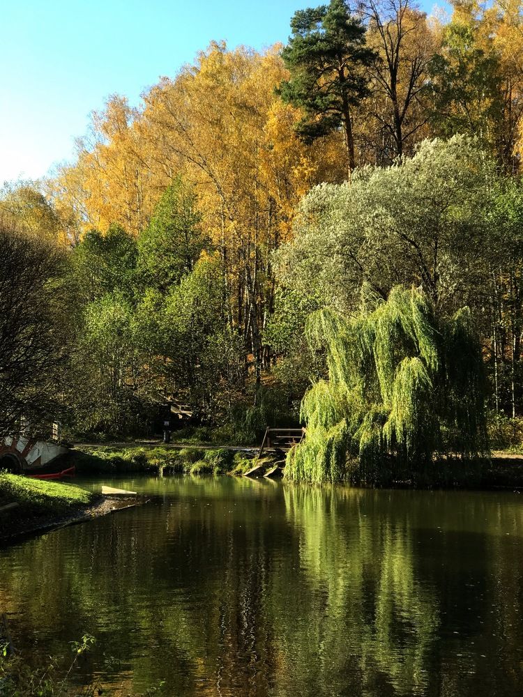 Photograph by Татьяна Шибанова