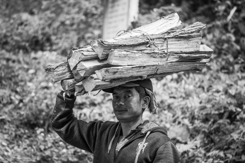 Фотография автора Dipayan Debbarma