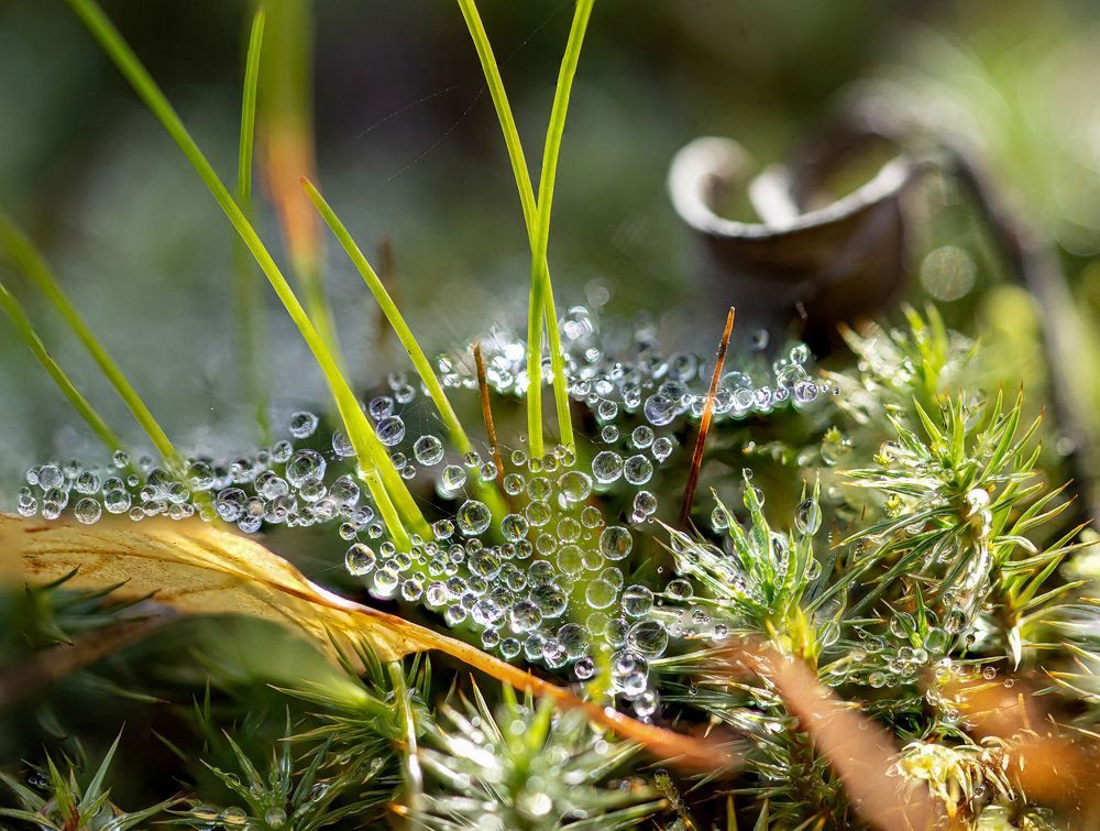 Photograph by Юрий Чернов