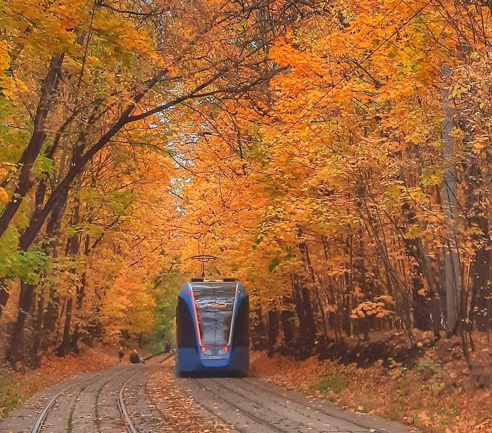 Photograph by Игорь