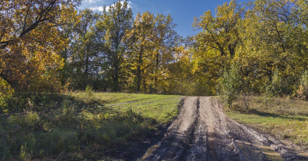 Photograph by Sergey Paramonov