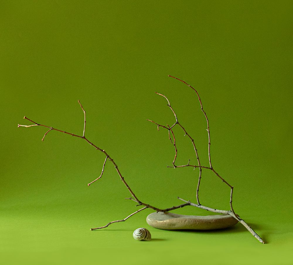 Photograph by Анна Статейко