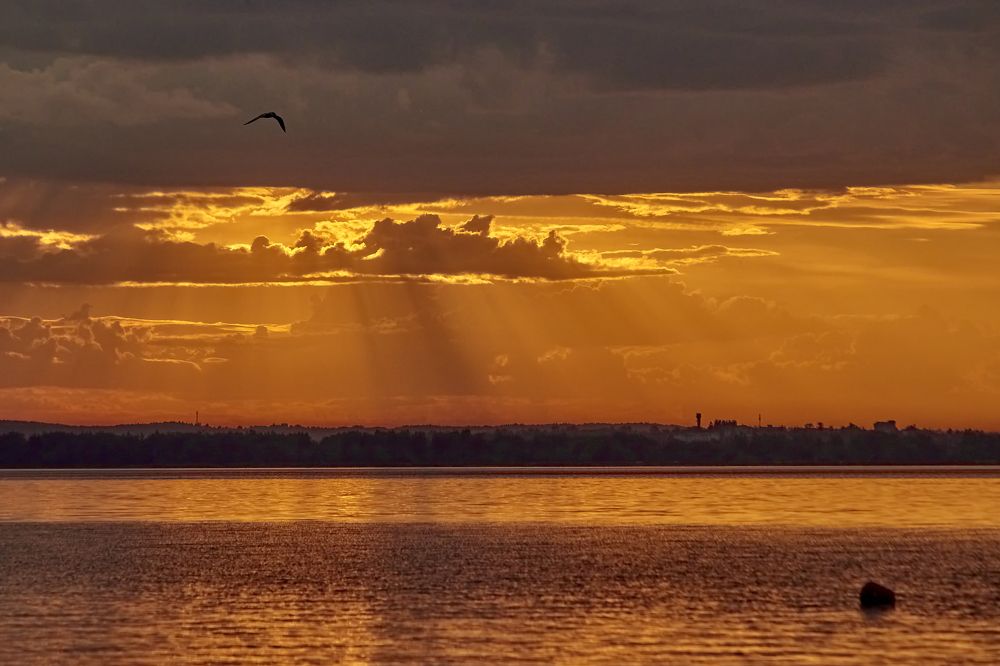 Photograph by Татьяна Полянская