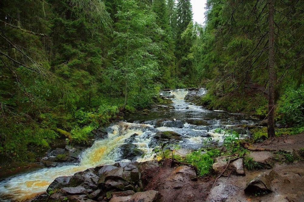 Photograph by Олег Раков