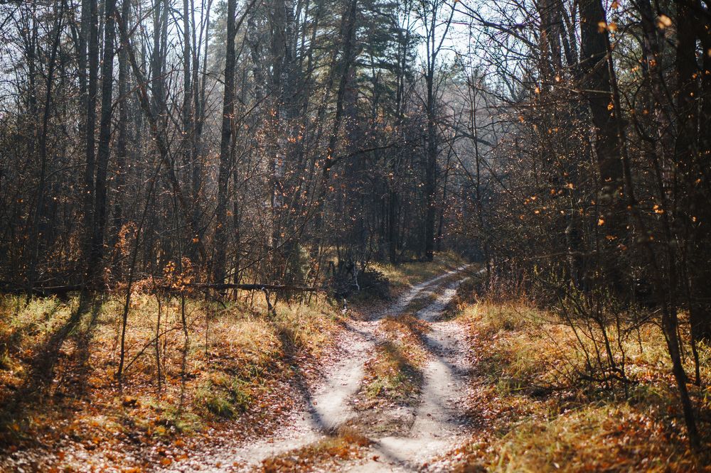 Photograph by Екатерина Чернова-Груздева