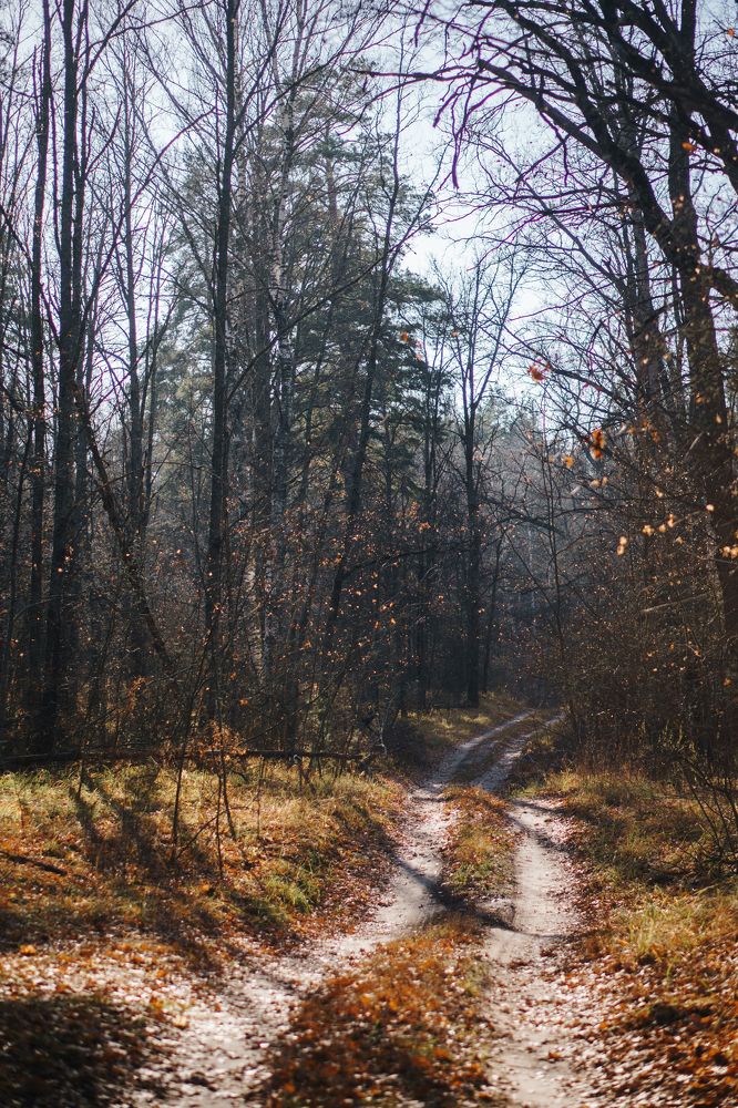 Photograph by Екатерина Чернова-Груздева