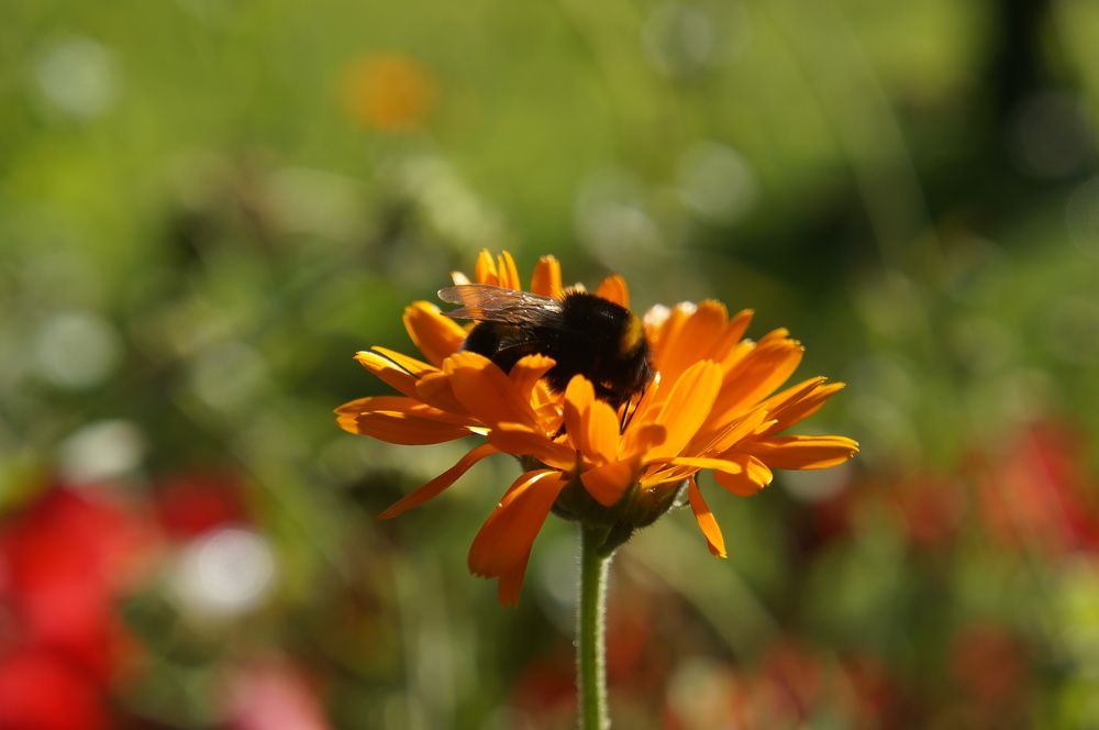 Photograph by Максим Роганов