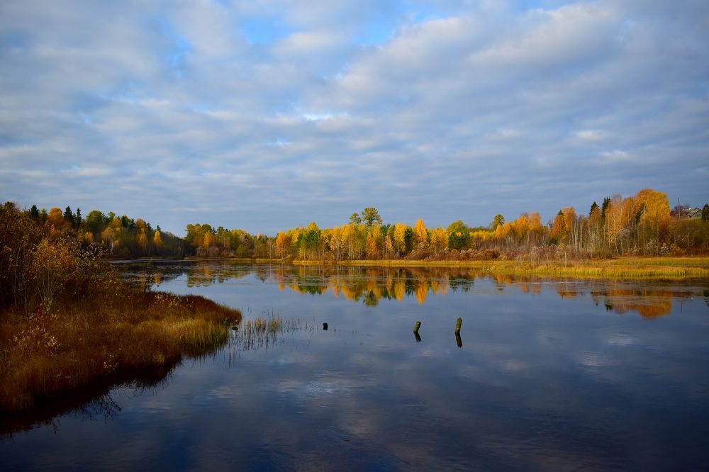 Фотография автора Оксана Льдинина