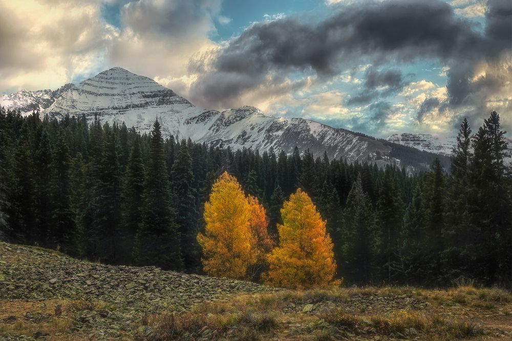 Photograph by Шварцман Евгений