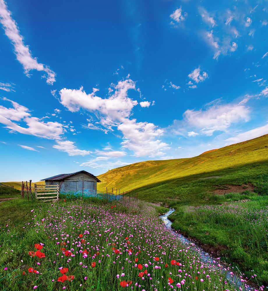 Photograph by Amir Khan