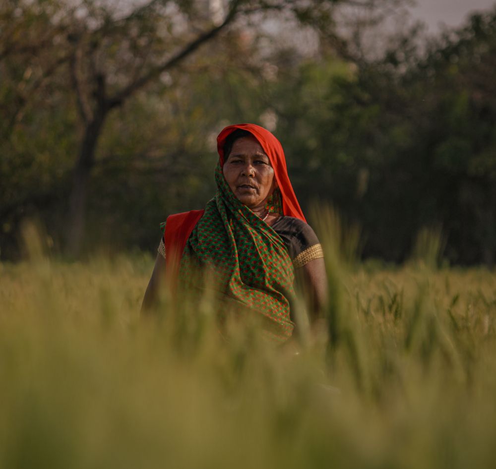 Photograph by Abhinav Yadav