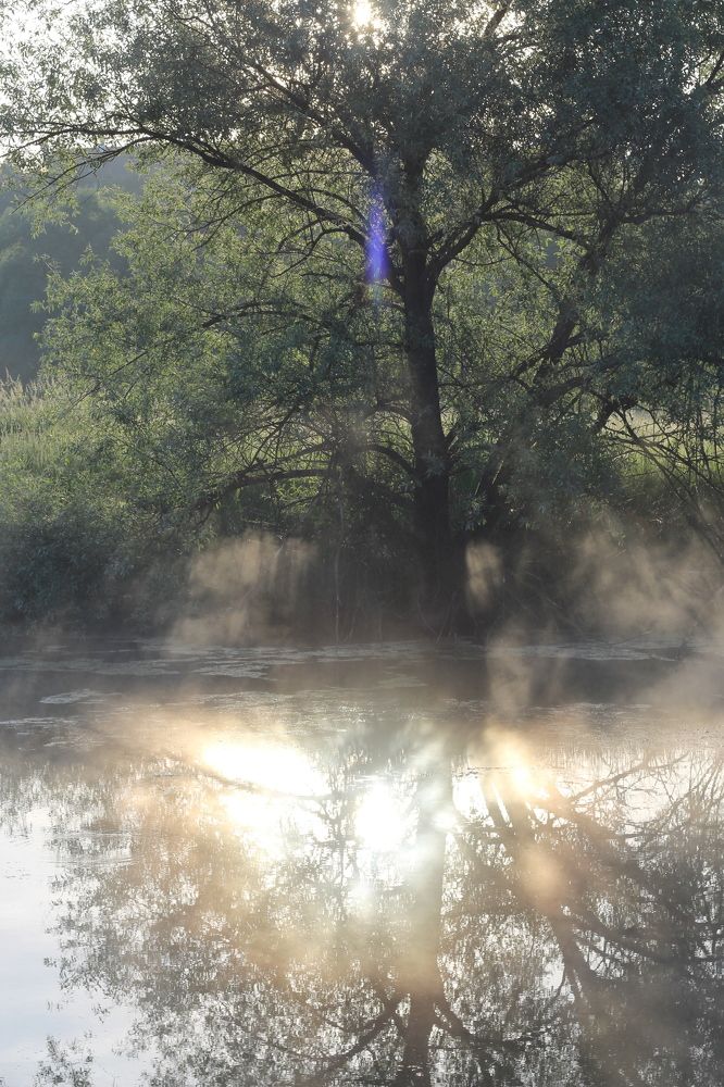 Фотография автора Виталий Дузь