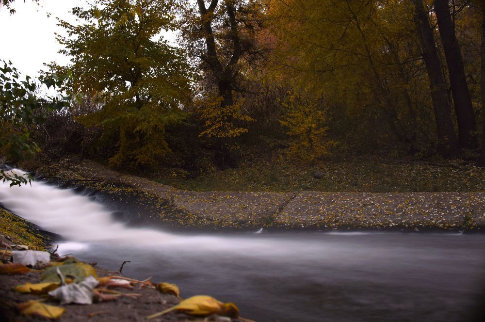 Photograph by Наталья