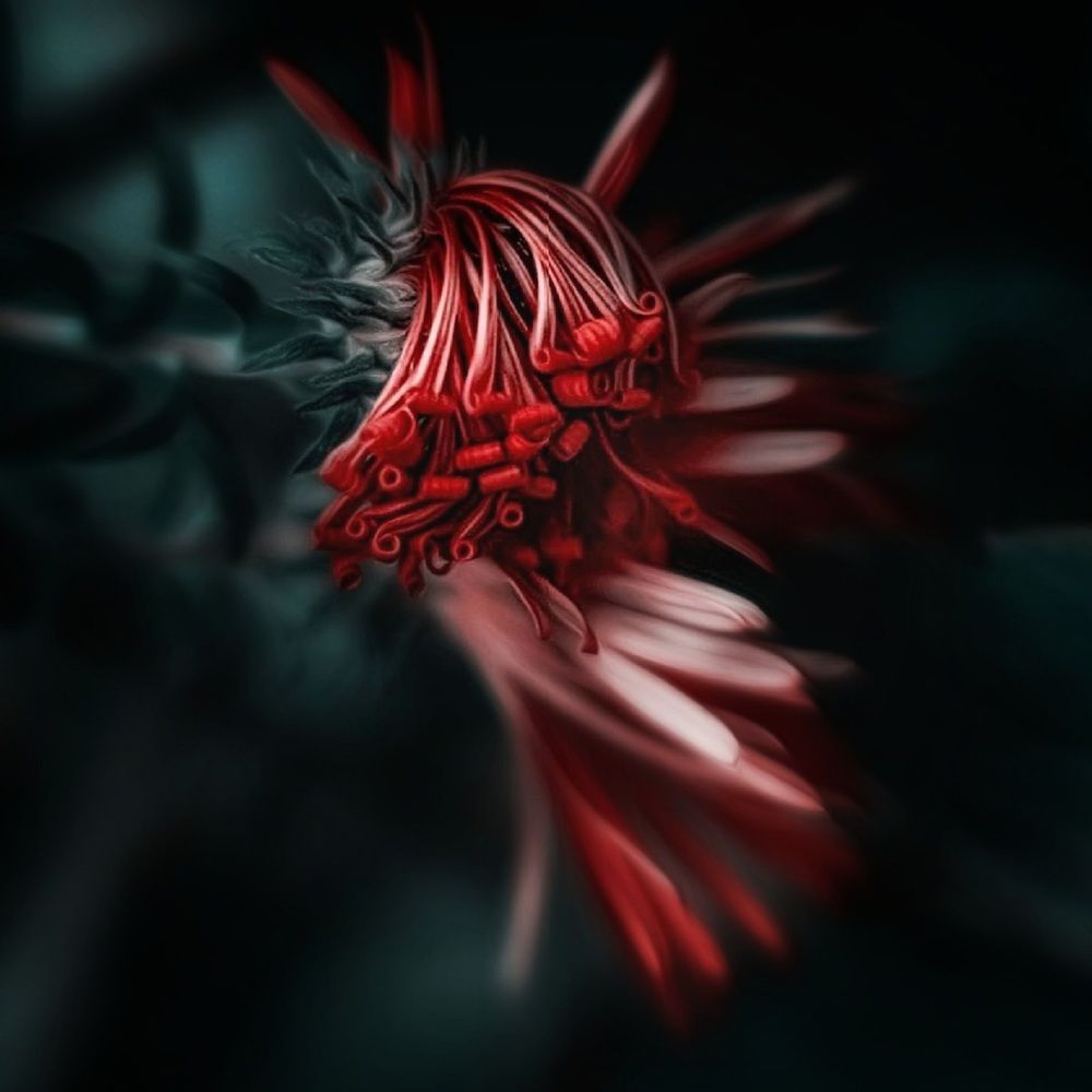 Photograph by Вадалагина