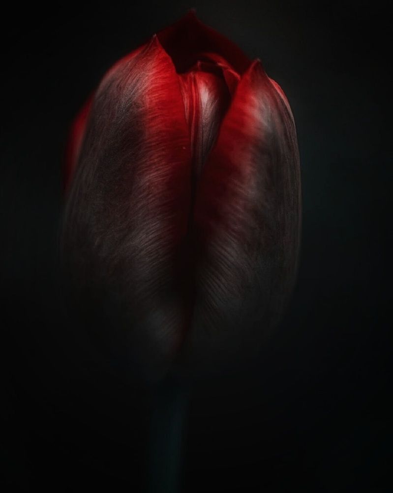 Photograph by Вадалагина