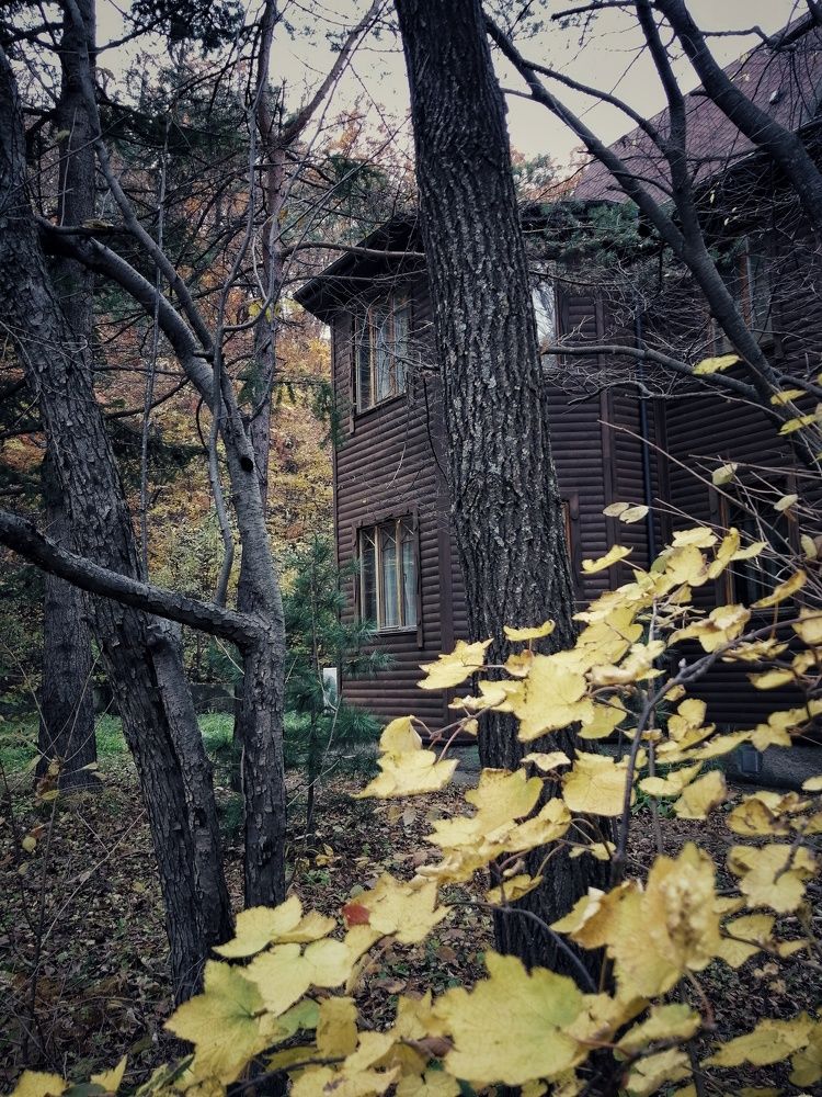 Фотография автора Fotolove Tasha