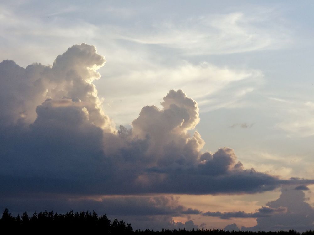 Небесные кочевники