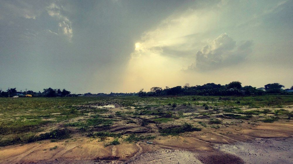 Photograph by Mostafa Shahriar