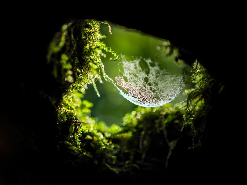 Photograph by Sergey Uskov