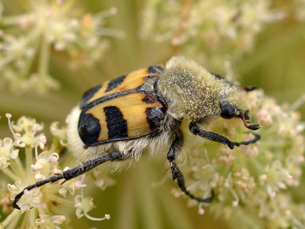 Photograph by Владислав Иопек