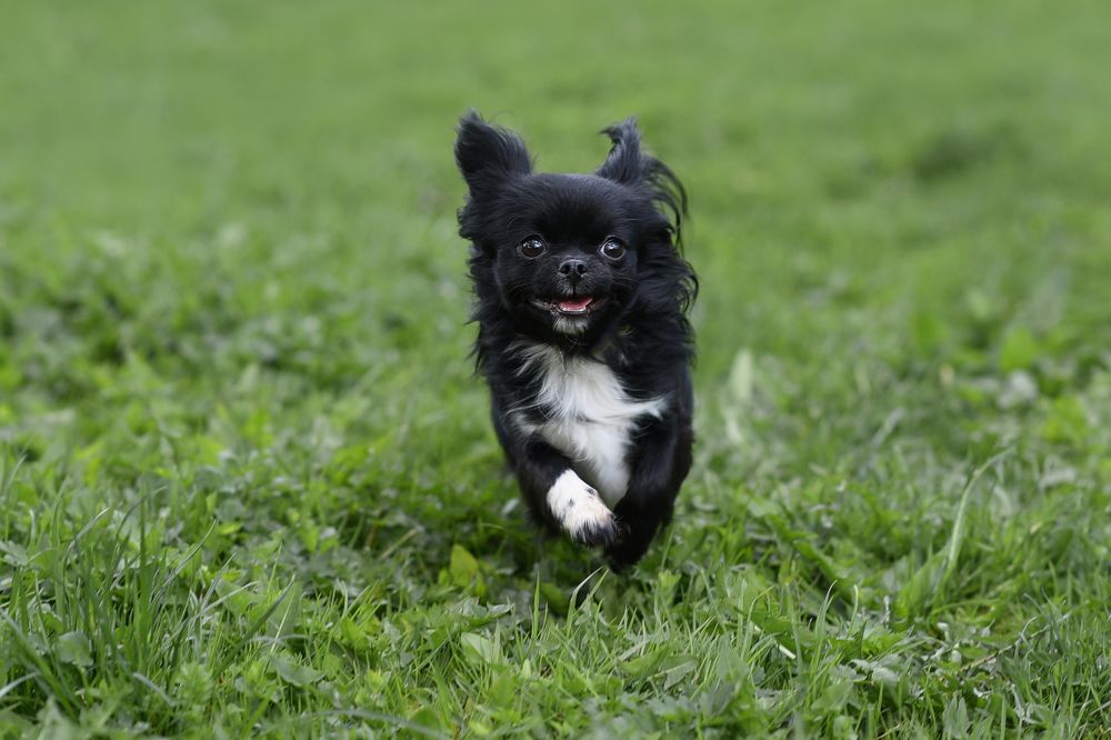 Летние деньки