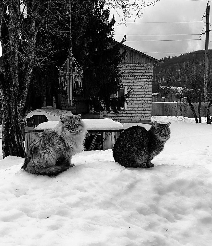 Photograph by Анна Михайловна