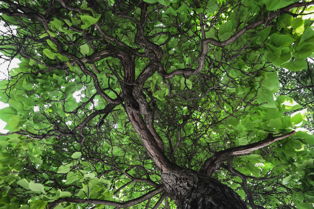 Photograph by Марина Шамич