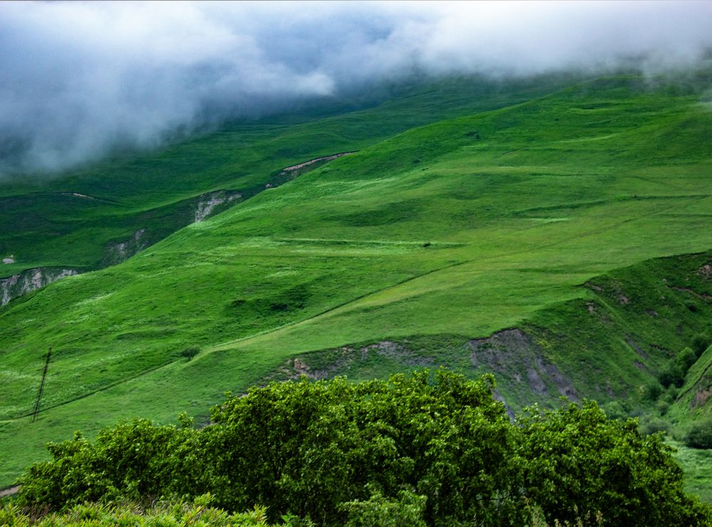 Photograph by Виктор Холодов