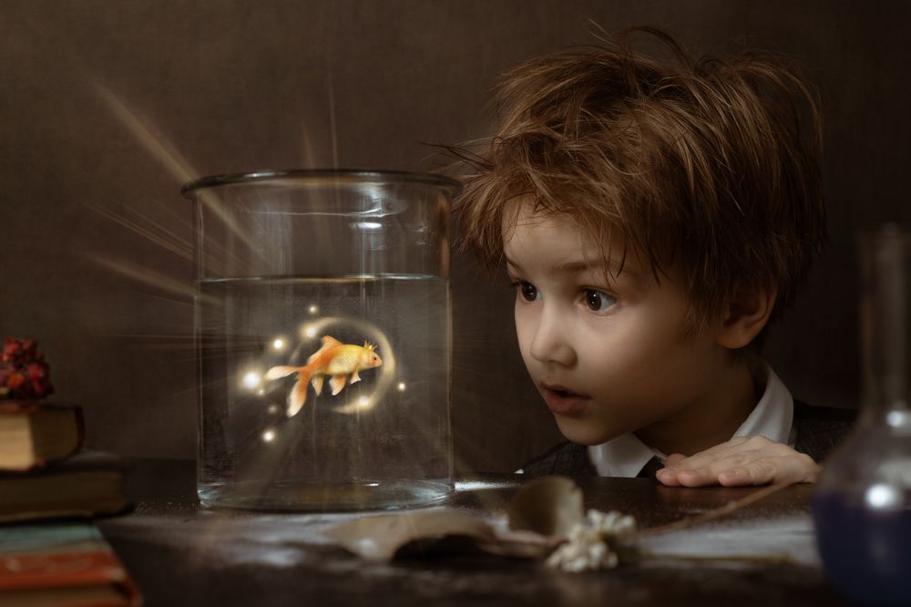 Photograph by Соколова Ирина