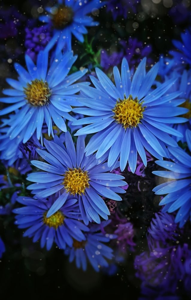 Photograph by Наталья Исиченко