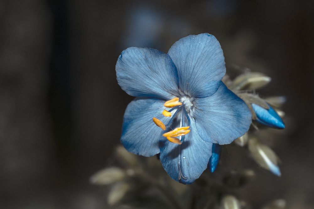 Photograph by Виктор Степанов