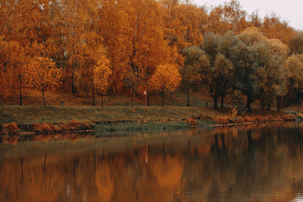 Photograph by Татьяна