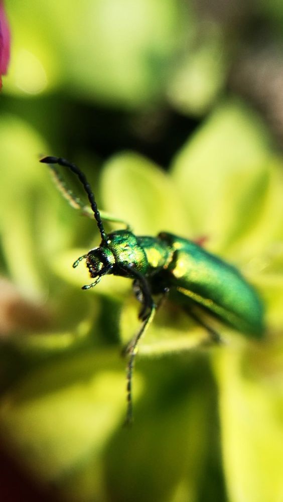 Photograph by Ирина Алпацкая