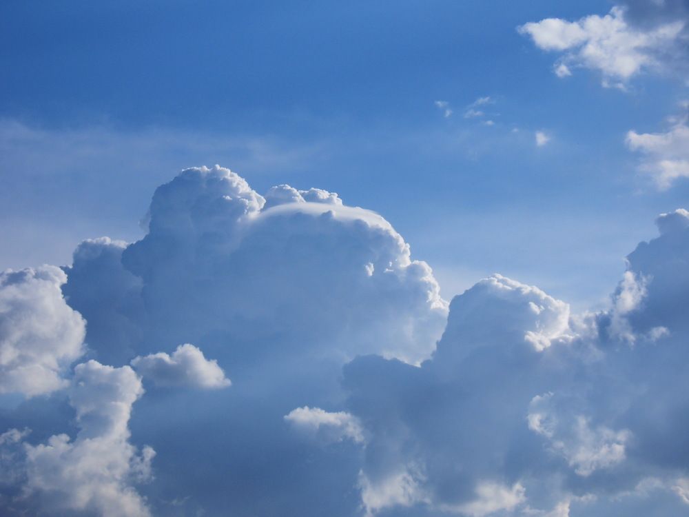 Медвежонок с рыбкой