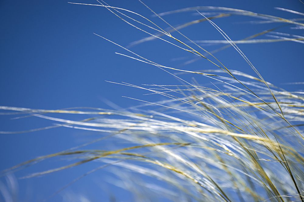 Photograph by Behzad Jourabchi Bokharaei