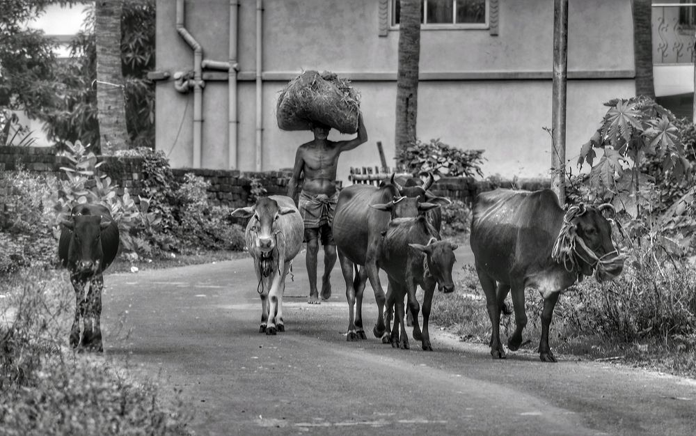 Photograph by Pralay Samanta