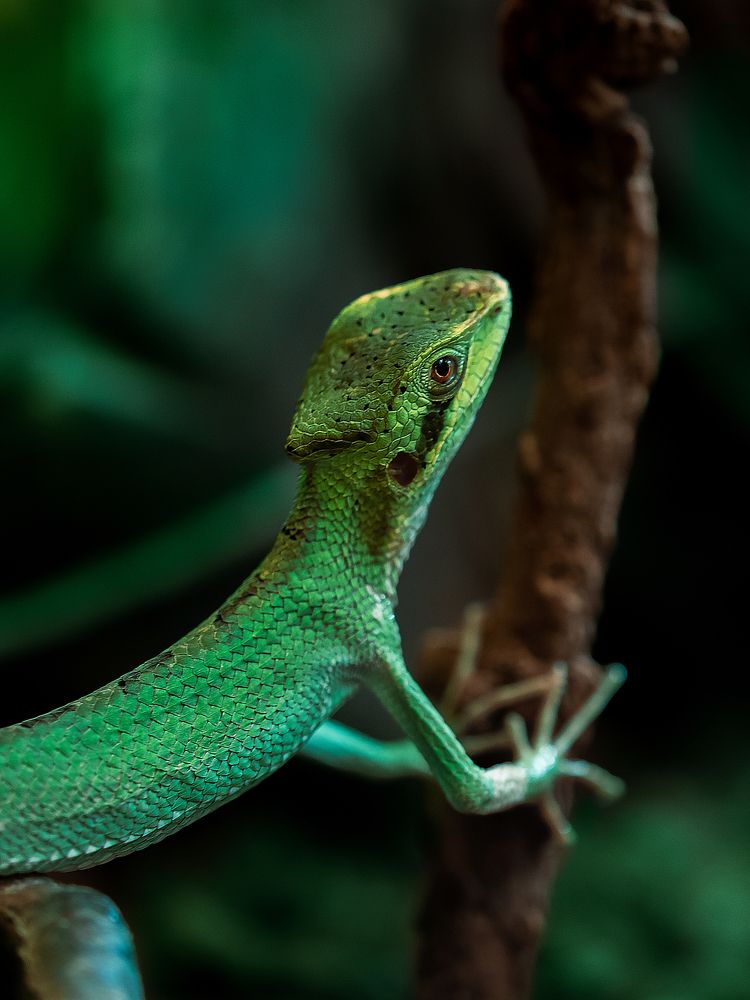 Photograph by Ирина Семёнова