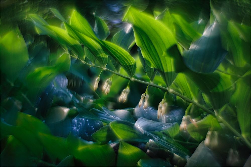 Вселенные рядом с нами