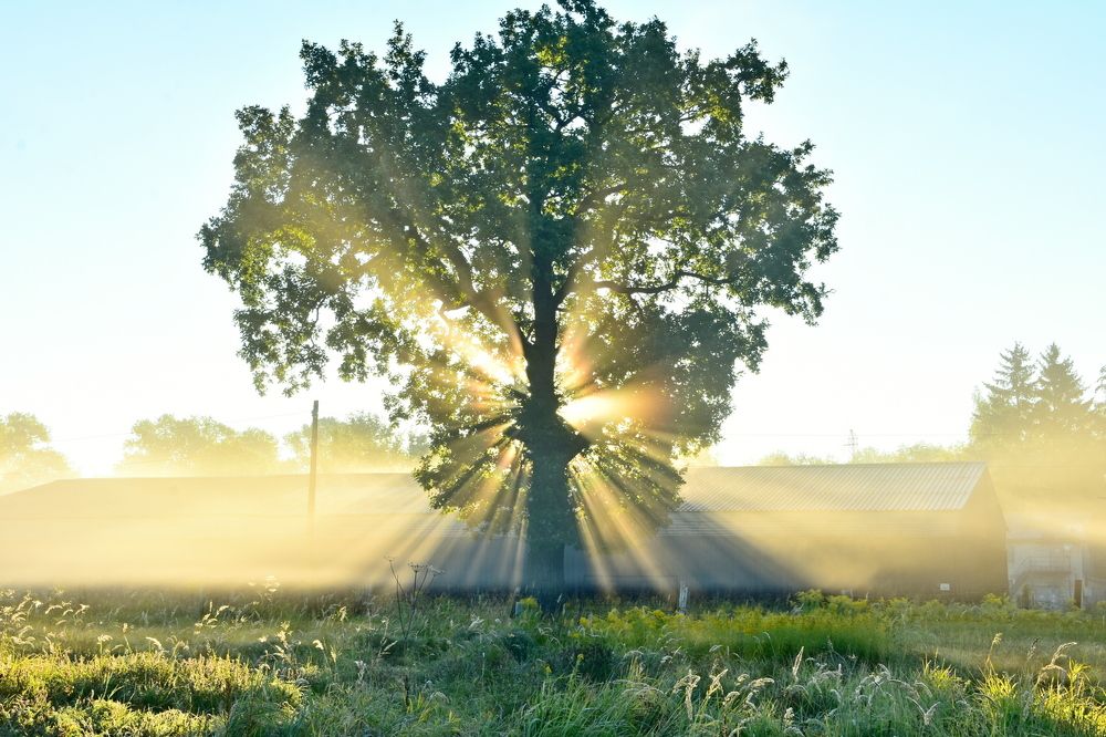 Photograph by Ирина Алексеева