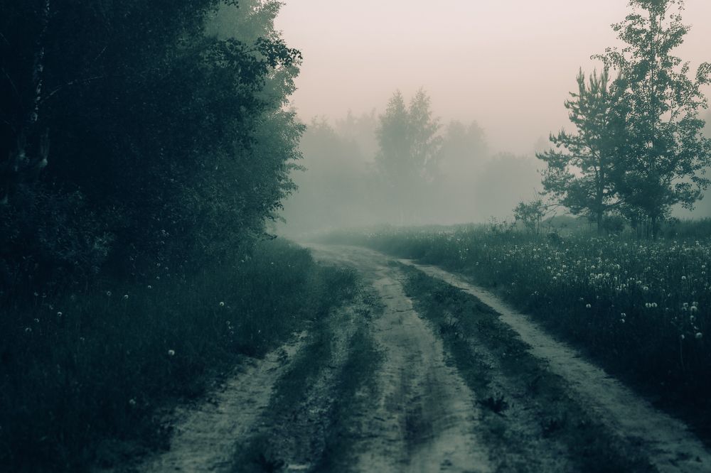 Photograph by Валерия Паули