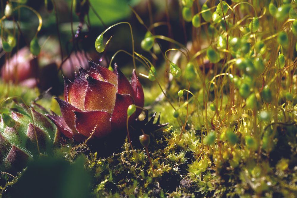 Photograph by Виктор Степанов