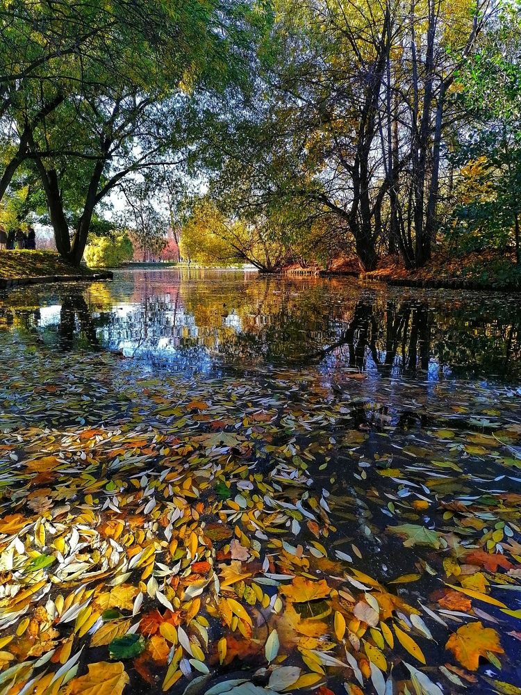 Photograph by Лилия Багдасарова