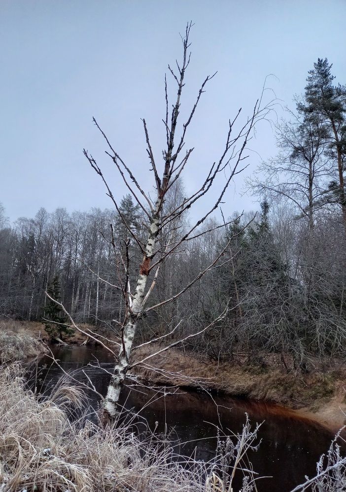 Photo #8211249