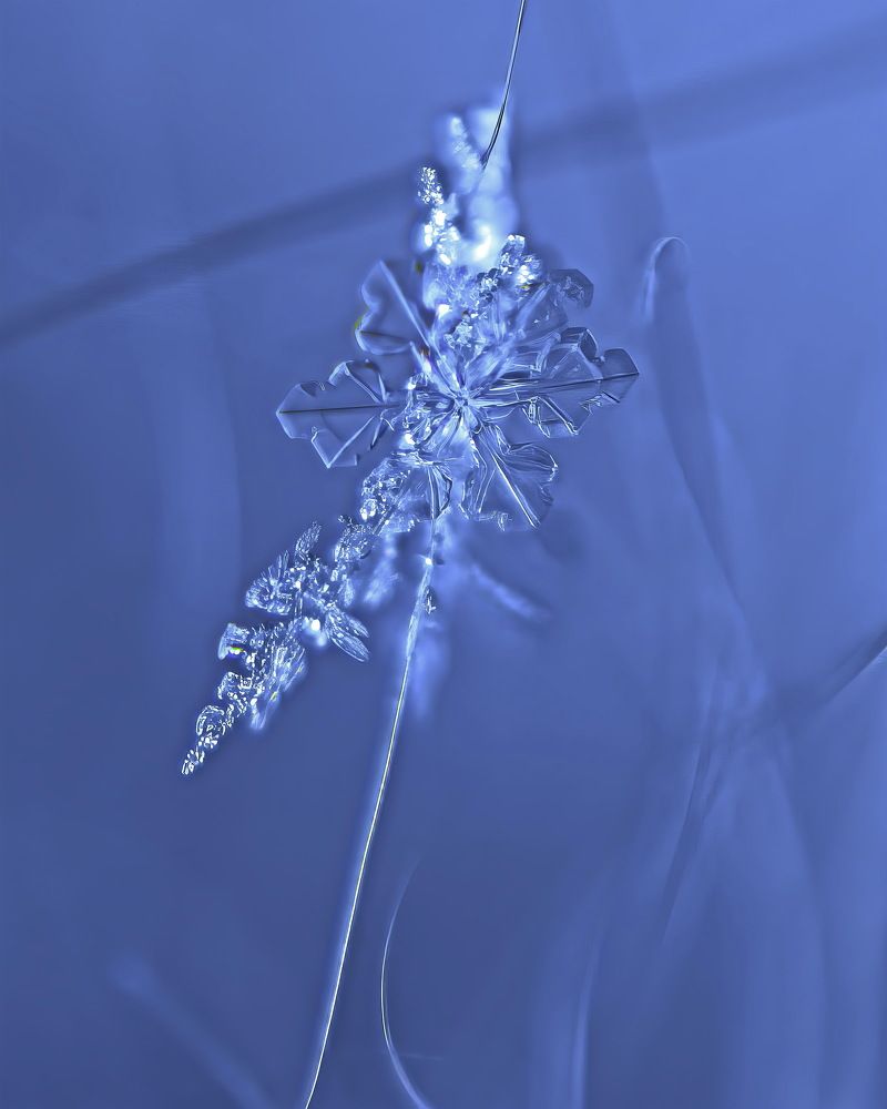 Photograph by Дмитрий Кузнецов