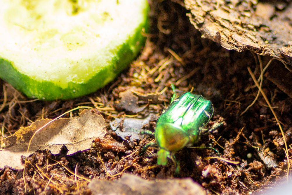 Фотография автора Бычков Валерий