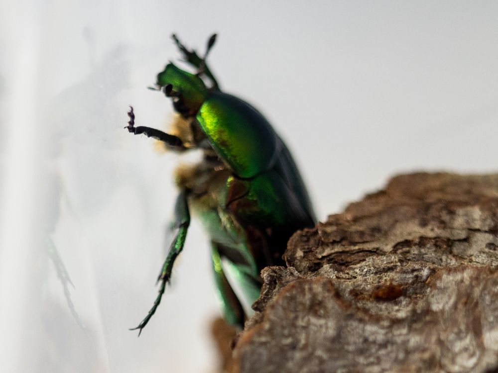 Фотография автора Бычков Валерий