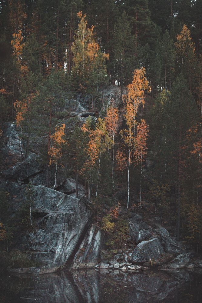 Photograph by Инна Макеева