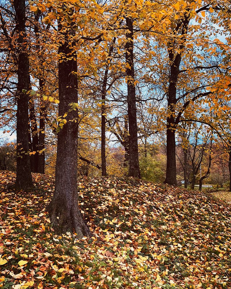 Photograph by Halina Mitsevich