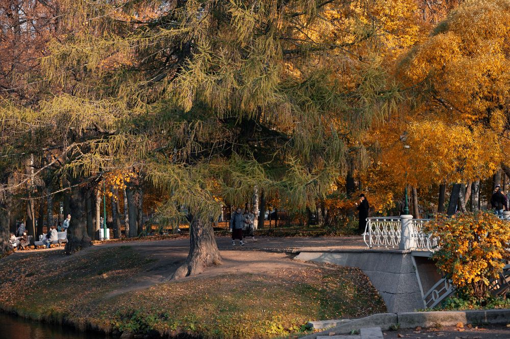 Photograph by Орехова Татьяна